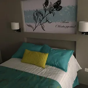  Apartahotel Herbal
